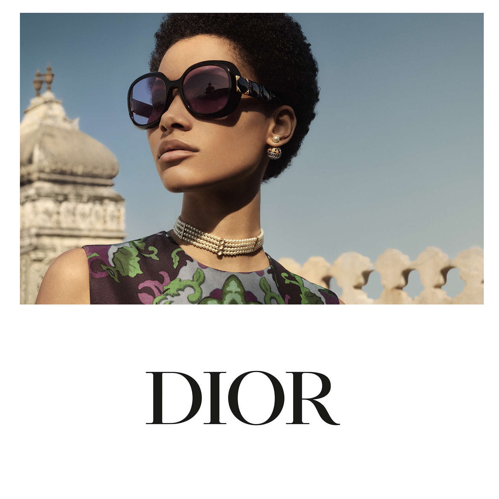 Dior Vision